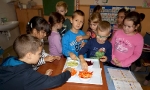 2015-oktober-nyilt-tanitasi-napok-zoldsegkostolas