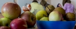 Egeszsegnap_2014_10_18